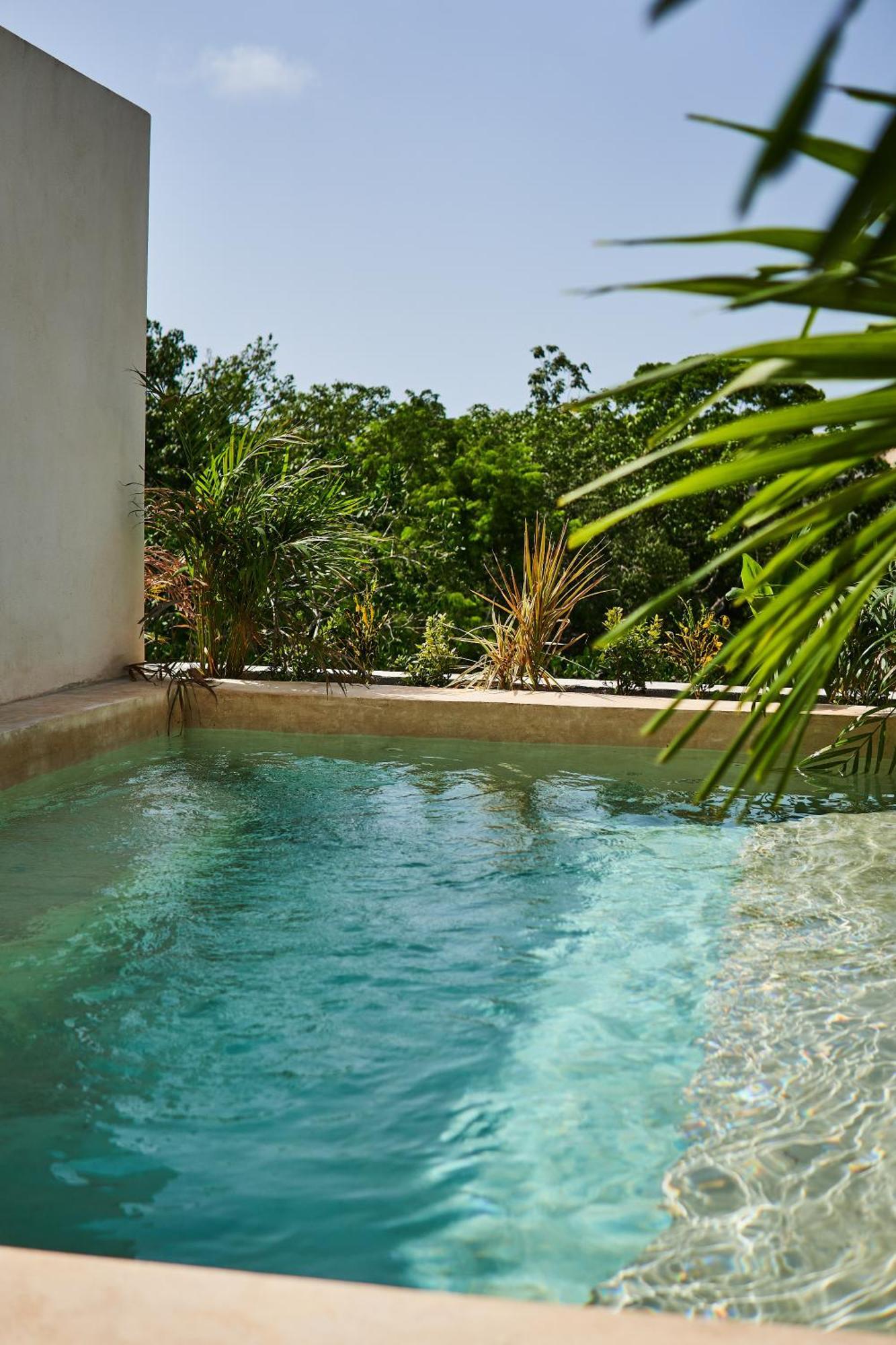 Spacious & Comfy Penthouse Oasis With Plunge Pool Tulum Eksteriør bilde